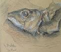 112-1300_IMGkl