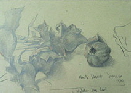 118-1862_IMGkl
