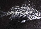 18.07.2013 024kl