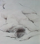 Akt_4_klein