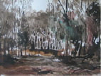 Bild 024kl