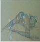 Bild 031kl