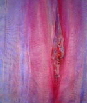 Bild 204kl