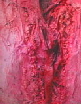Bild 209kl