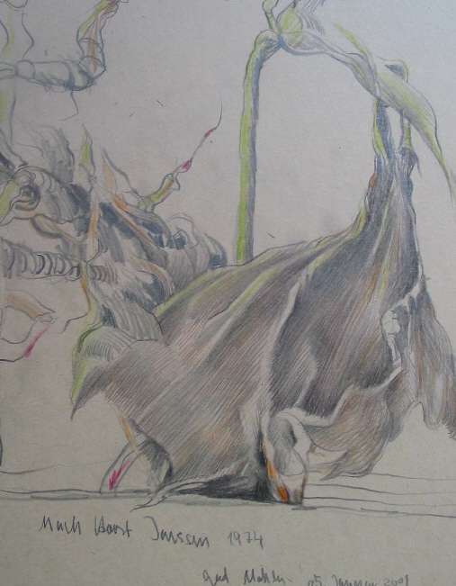 Bild 295