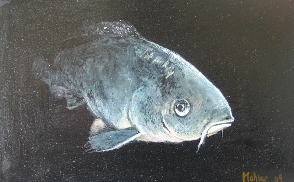 Fisch_14_gross