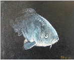 Fisch_14_klein