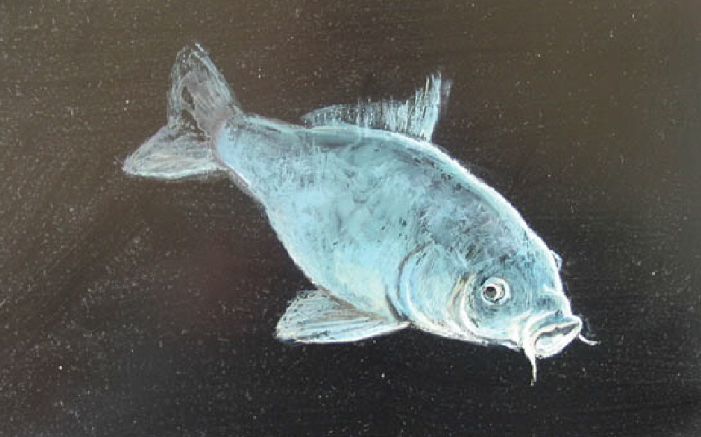 Fisch_1_gross