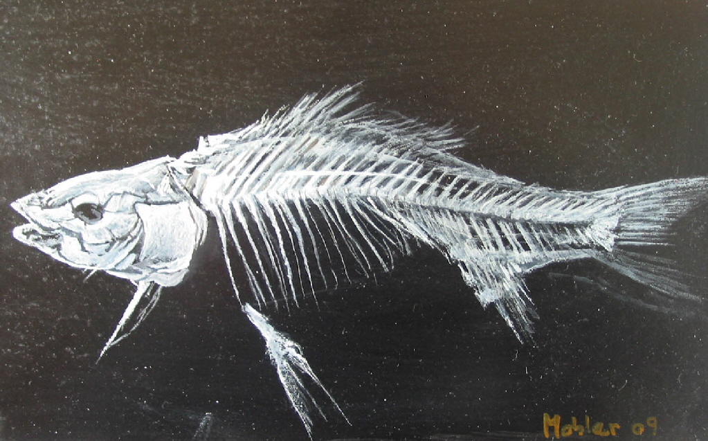 Fisch_4_gross