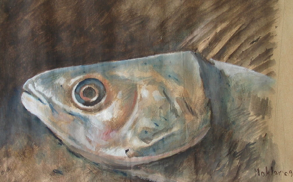 Fisch_6_gross