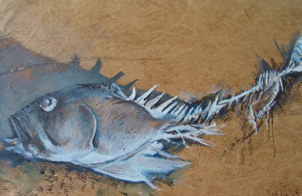 Fisch_7_gross