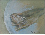 Fisch_9_klein
