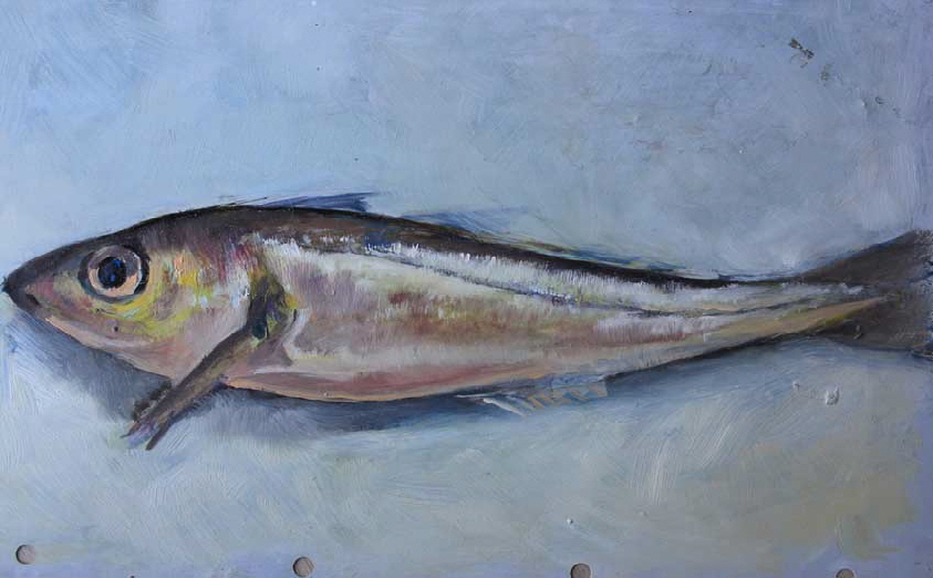 Fische 001kl