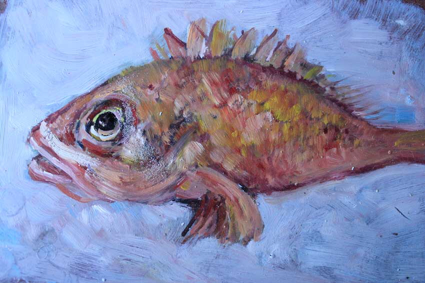 Fische 004kl