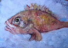Fische 004kl