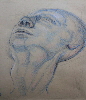 Homepage ganzneu 110