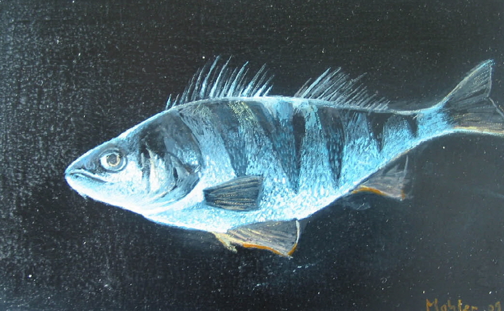 fisc_14_gross