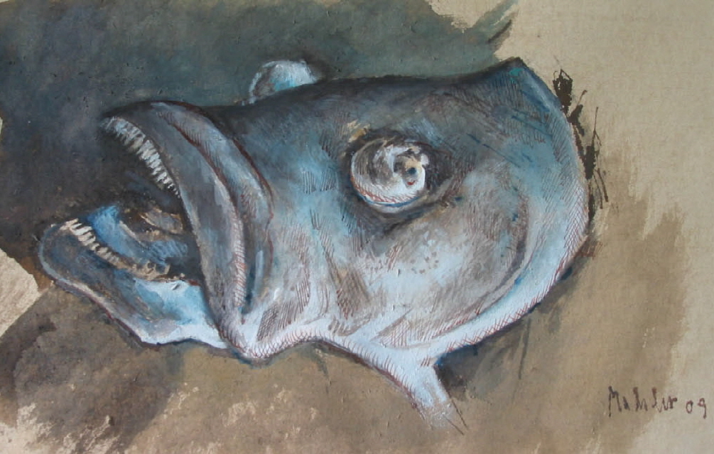 fisch_10_gross