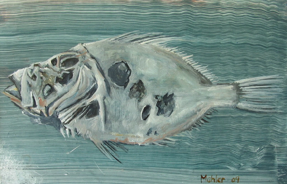 fisch_2_gross