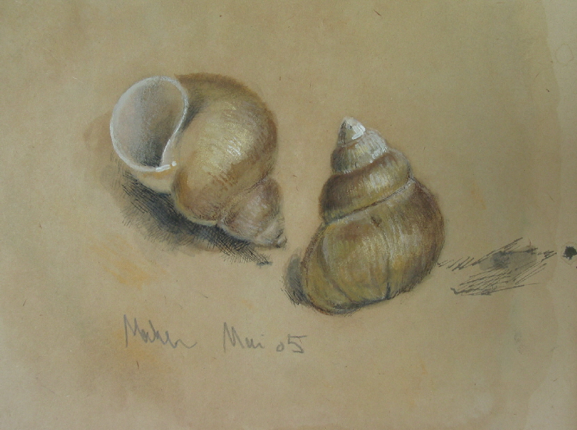 schnecken Kopie